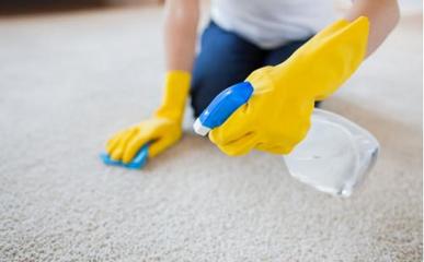生活小常识 清洁地毯小技巧