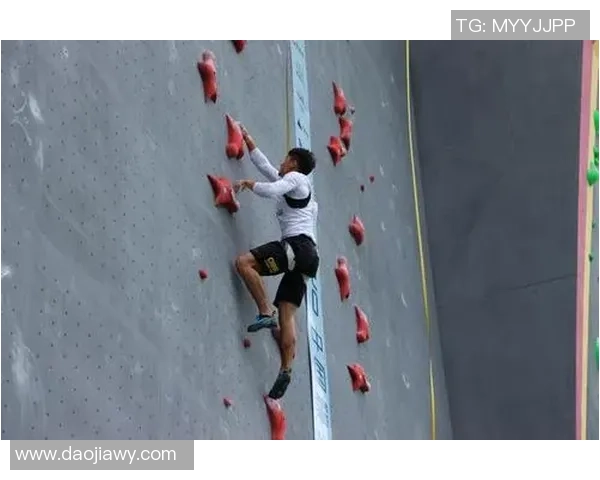 上海滑板队在攀岩联赛中的战术分析与表现评估